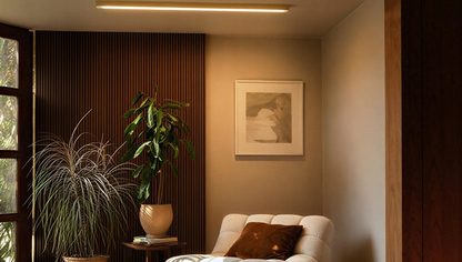 Vireo Linear Flush Mount